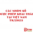 phan-loai-nhom-go-viet-nam-duoc-phep-khai-thac-va-xuat-khau-cap-nhat-t92023