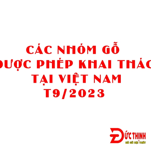 Phân Loại Nhóm Gỗ Việt Nam ĐƯỢC PHÉP Khai Thác và Xuất Khẩu [Cập nhật T9/2023]